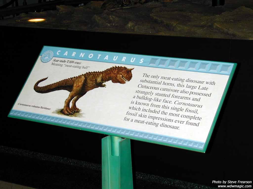 Countdown to Extinction photos Photo 10 of 26